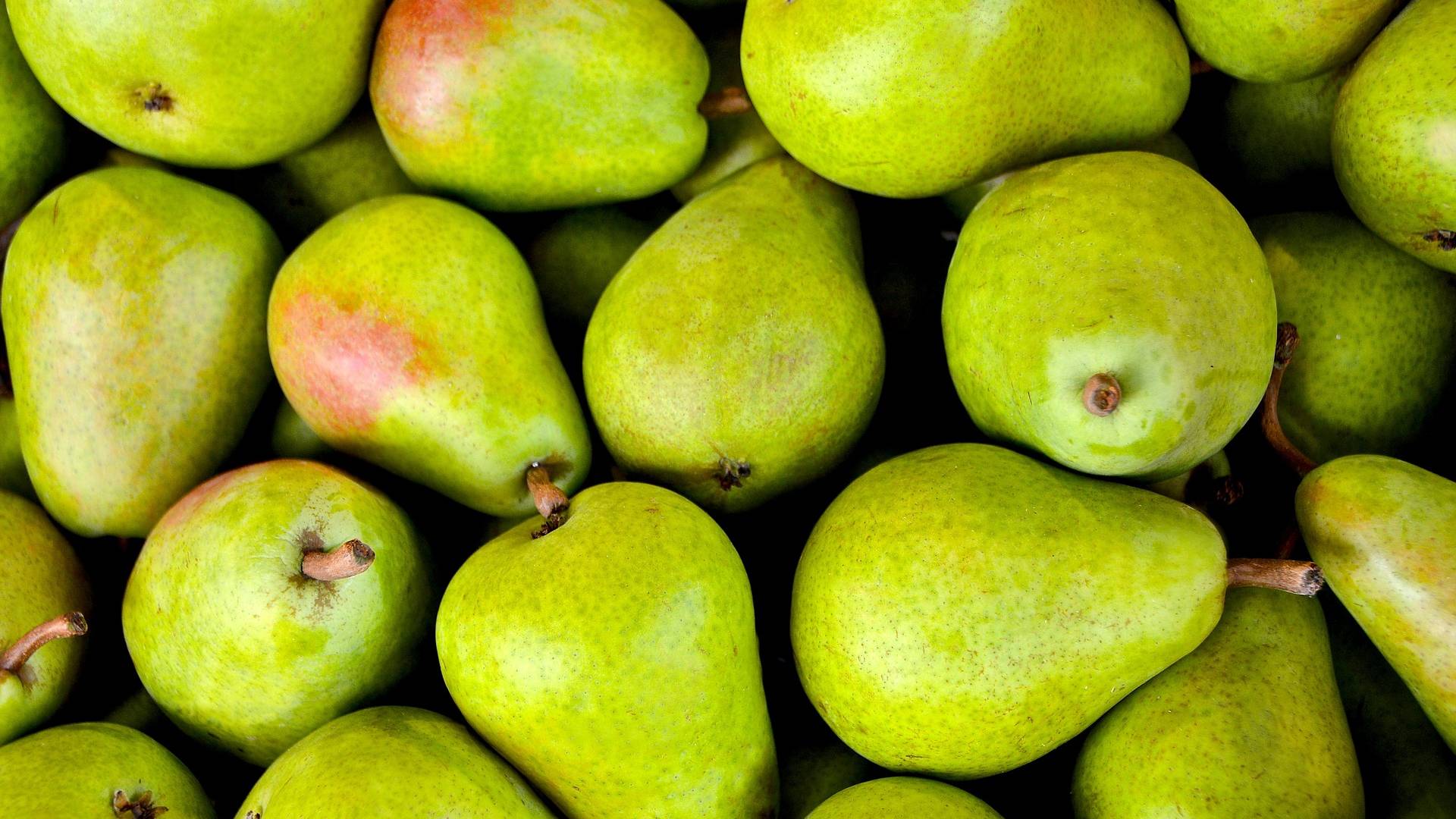 actel_pears_background