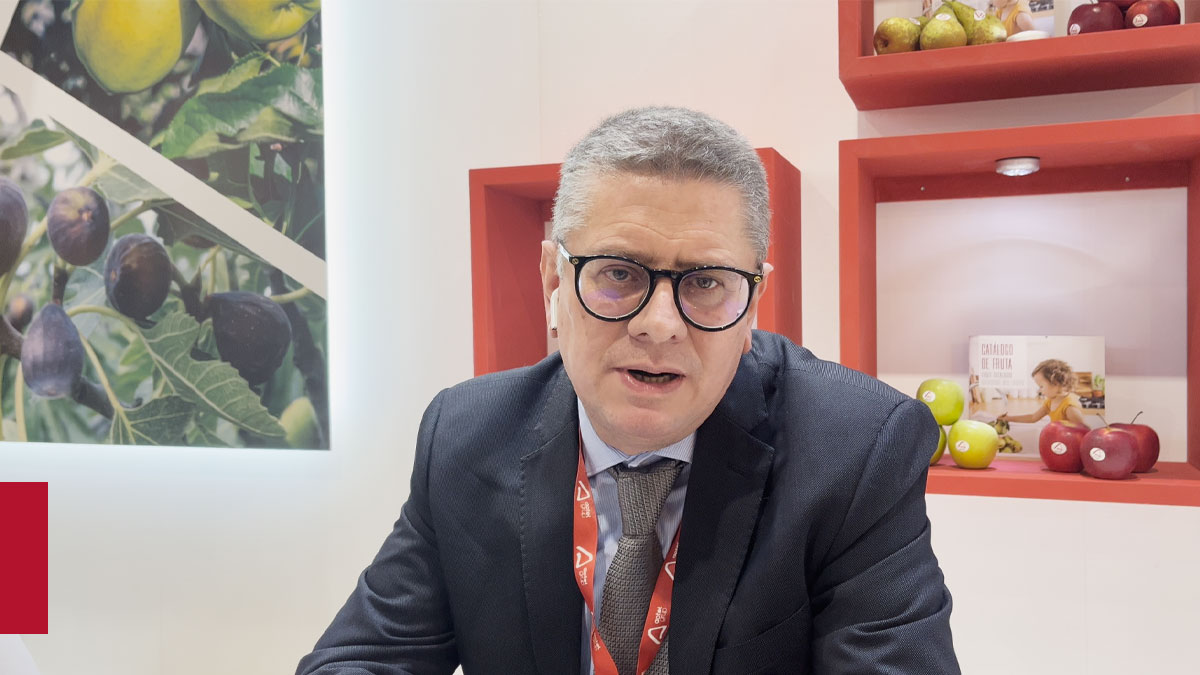 Fruchthandel entrevista al director de negocio de fruta y aceite, José Manuel Ibáñez