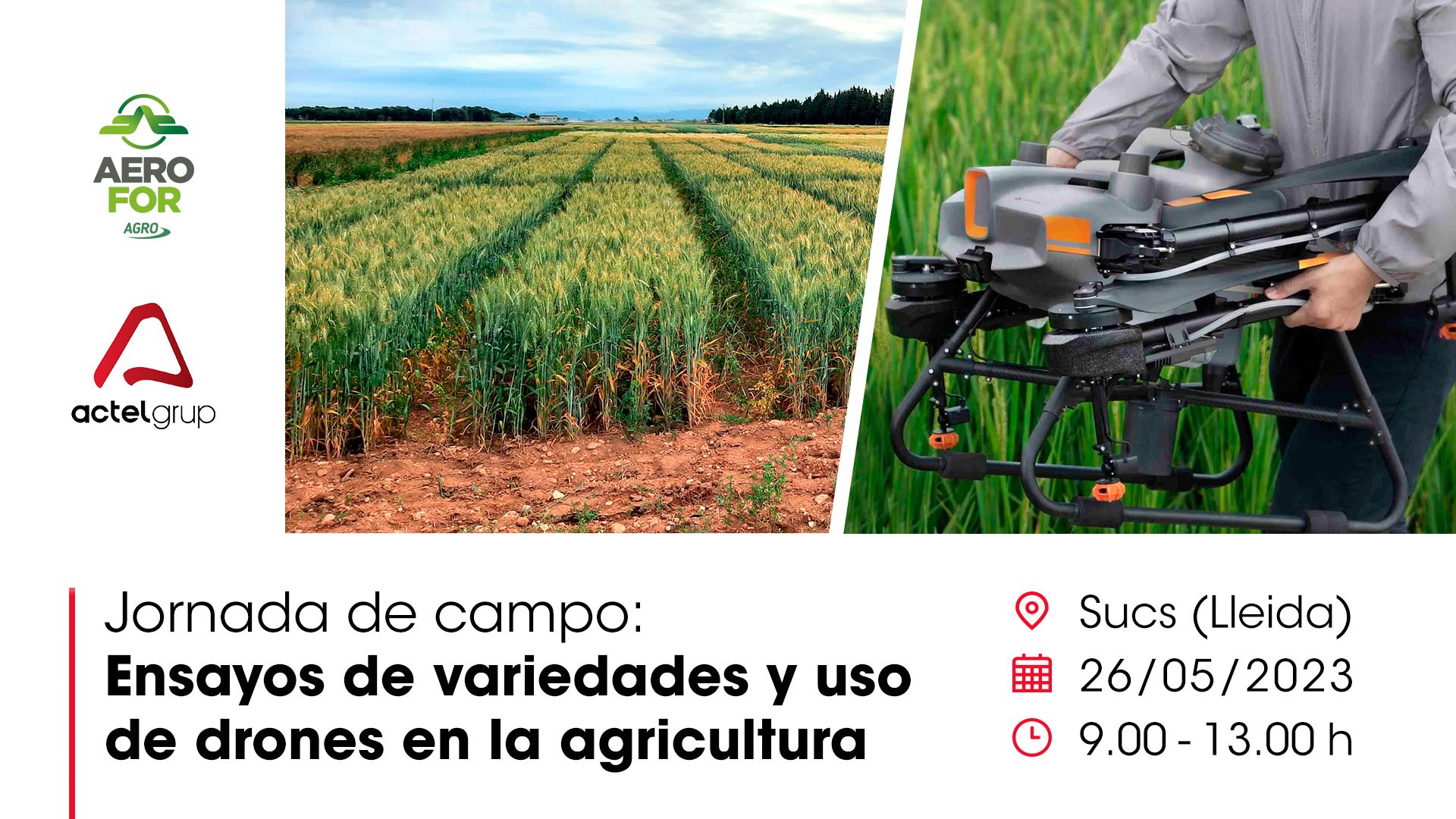 Jornada de campo: Ensayos de variedades y uso de drones en la agricultura