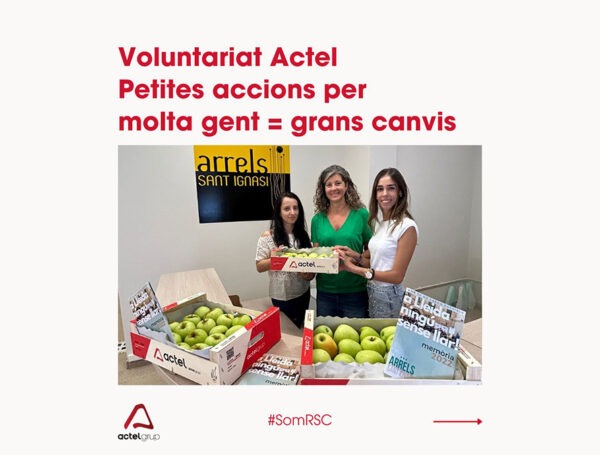 Voluntariat Actel