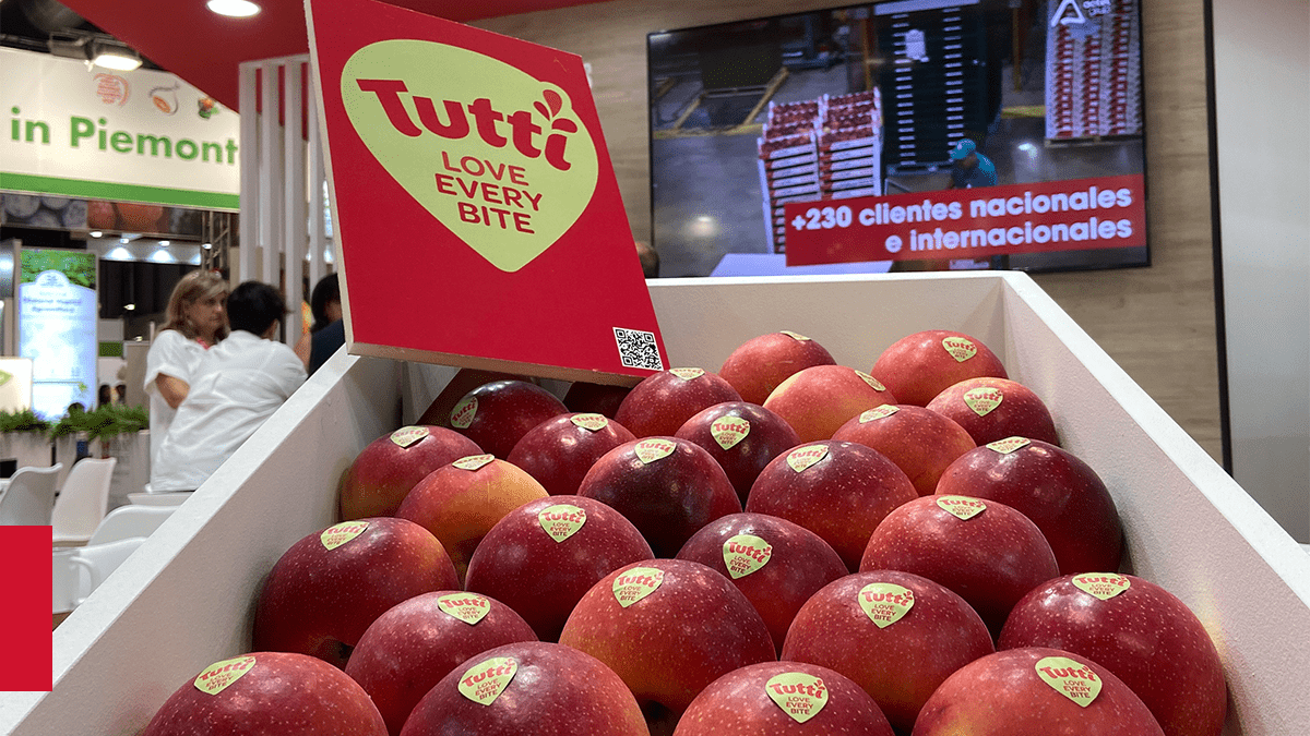 Presentación de la variedad de manzana TUTTI (HOT-084) en Fruit Attraction