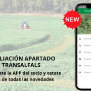 app-transalfals