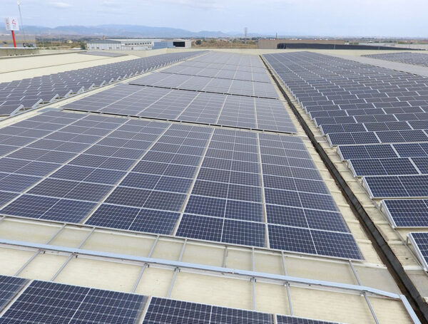 La apuesta de Actel y de las cooperativas por la energía solar rinde sus frutos☀️