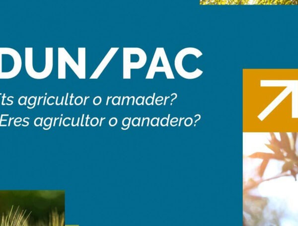 ¡Ven a tramitar la DUN/PAC con nosotros! 