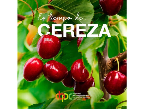¡Es tiempo de CEREZAS!