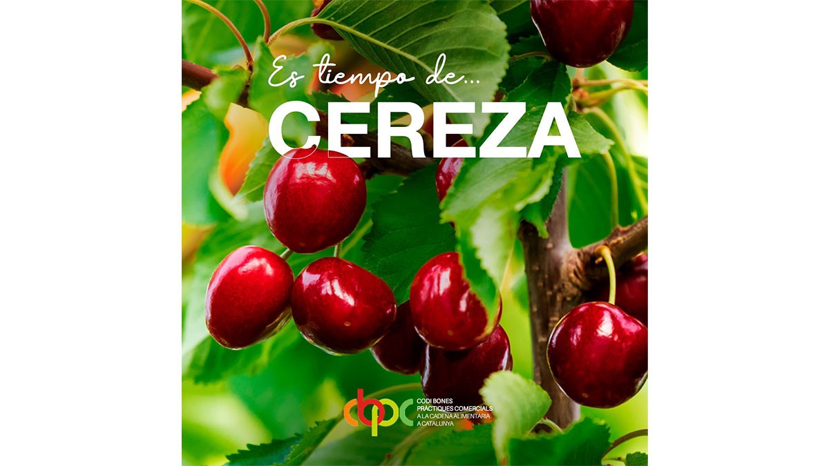 ¡Es tiempo de CEREZAS!