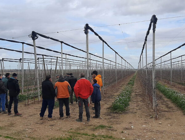 Compartimos experiencias sobre el terreno: encuentro de productores de manzana TUTTI