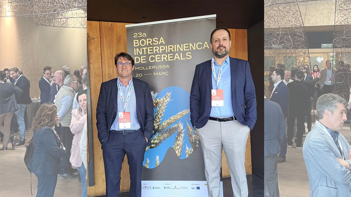 borsa-interpirinenca