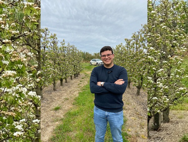 Hablamos del proceso de floración