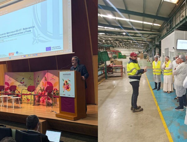 Conectados con el sector europeo de la fruta de hueso