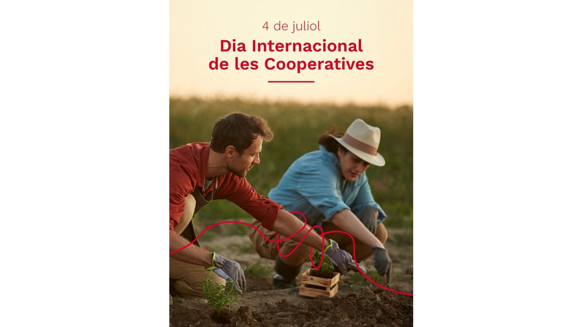 dia cooperatives