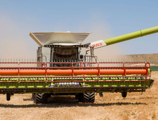 Del campo a los silos, hoy seguimos el recorrido del cereal