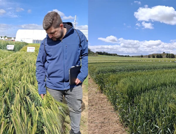 CULTIVA – Conectamos innovación, tecnología y campo