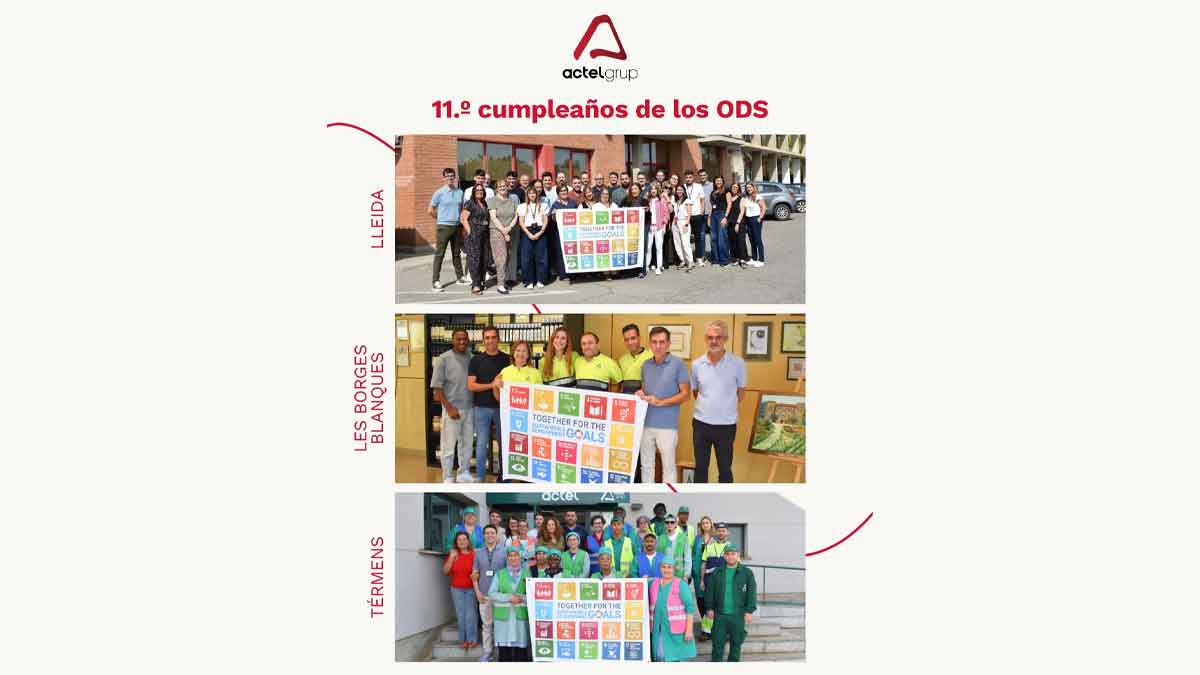 ods por bandera