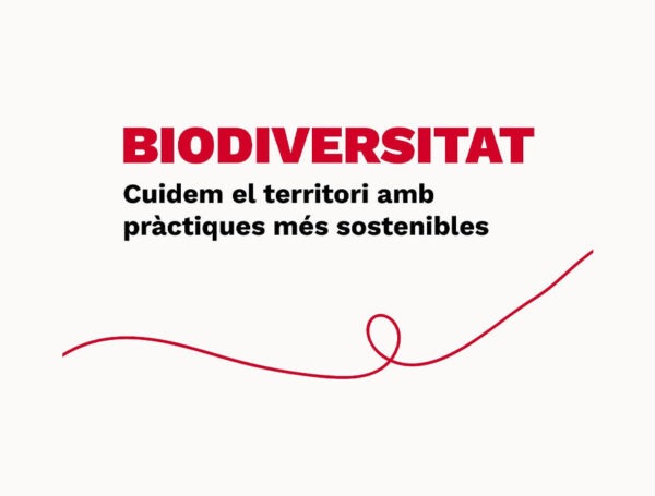 Cuidar el territorio también significa transformar la manera en que trabajamos
