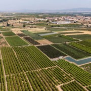 dia mundial agricultura