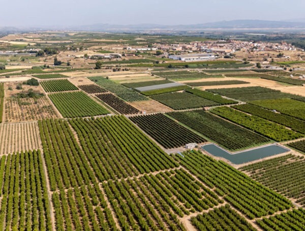 Día Mundial de la Agricultura