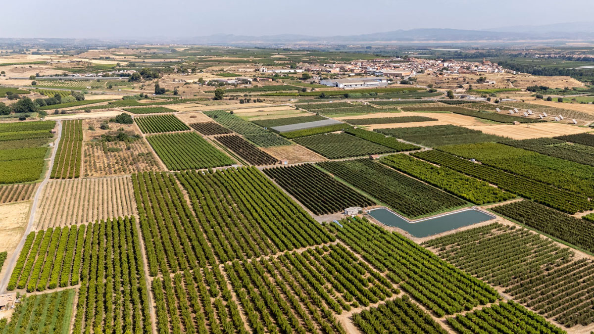 dia mundial agricultura