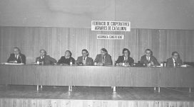 1982-constitucio federaci